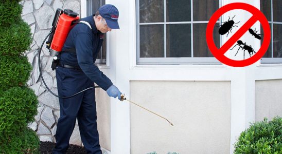 Ulukışla Fare İlaçlama böcek ilaçlama ve haşere kontrolü — ilaclama-tr.com